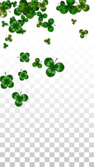 Vector Clover Leaf  Isolated on Transparent Background with Space for Text. St. Patrick's Day Illustration. Ireland's Lucky Shamrock Poster. Invintation for Concert in Pub. Top View. Success Symbols.