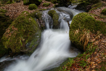 Wasserfall mit Steinen voller Moos