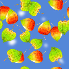 Raster pattern with colored autumn phyisalis on blue background.