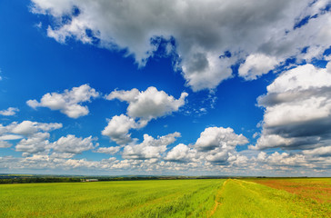 Meadow and cloudy sky