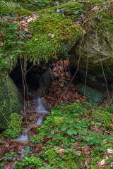 Wasserfall mit Steinen voller Moos