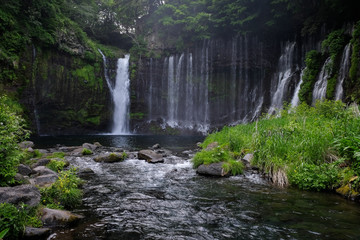 Fototapeta na wymiar Shizuoka Shiraito Waterfall in Fujino Miyashi, Shizuoka Prefecture Japan ,very clear water, very natural.