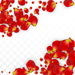 Vector Realistic Red Rose Petals Falling on Transparent Background.  Romantic Flowers Illustration. Flying Petals. Sakura Spa Design. Blossom Confetti. Design Elements for Wedding Decoration.