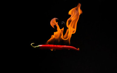 Red chilli with flame, black background, the concept of spicy - pictures