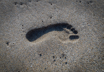 Human footprint on the sand