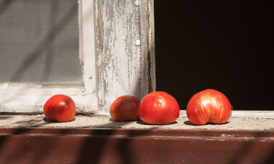 tomatoes 