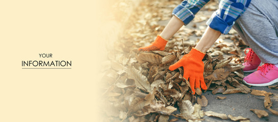 Woman gardener cleans branches leaves in the garden pattern sun nature