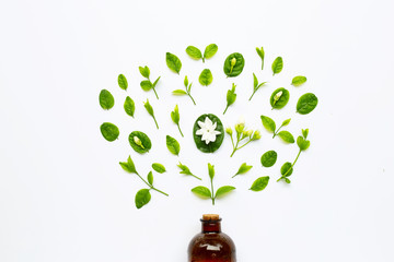 Bottle of essential oil with jasmine flower and leaves on white.