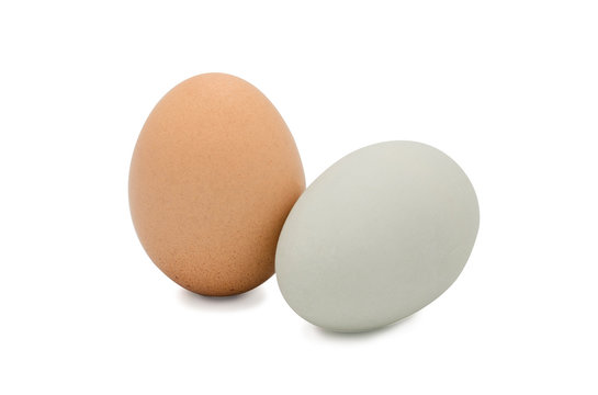 Isolated of chicken egg and duck egg on white background.-Image.