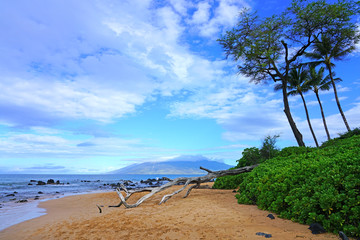 View of palm trees and black lava rock on the beach in Wailea on the West shore of the Hawaiian island of Maui