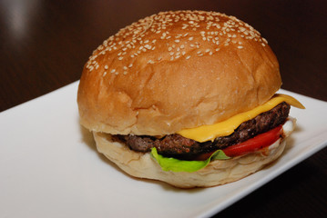 Single chicken beef burger on the white plate