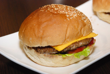 Single chicken beef burger on the white plate