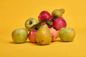 apples on yellow background