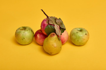 Fresh ripe pears and apples with leaves
