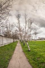 road in the countryside