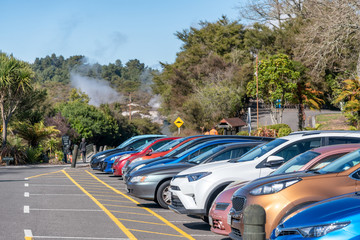 Full car parking with colorful cars in the forest