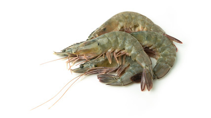 close up group of fresh raw pacific white shrimp on white background.