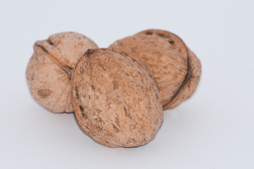 Three walnuts on a white background close-up macro, side view, copy space for text