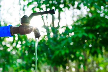 Water valve on green nature background, Close up tap valve with blur background of green tree,...