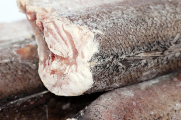 Obraz premium Frozen fish hake close-up on white background macro
