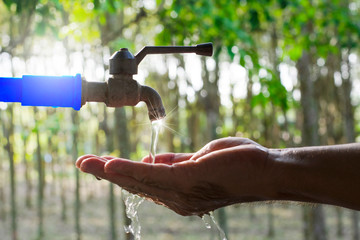 Hand washing on blur green nature background, Water energy conservative concept, Clean hand by...