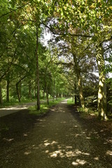 Chemin pavé sous un feuillage dense laissant à peine passer la lumière dans le bois du domaine provincial de Vrijbroekpark à Malines