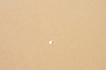 Breaking the shells on the beach is a natural beauty.