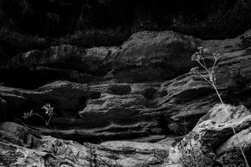 A view of Haminton Pool in Winter time in Austin Texas USA