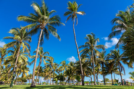 Miami, South Beach, Lummus Park