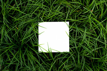 layout made of flowers and leaves with white paper copyspace area