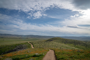 Naklejka premium road in the mountains