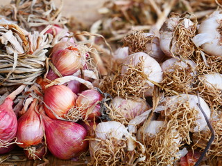 fresh garlic bulbs of red onion