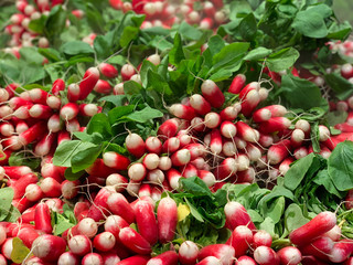 Gesund leben mit Obst und Gemüse