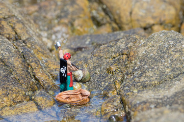 Pirate dans sa coquille de noix