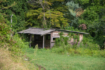 old wooden house in the forest