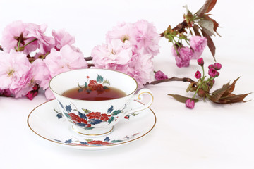 Obraz na płótnie Canvas 八重桜と紅茶