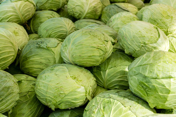 Fototapeta na wymiar Fresh organic heads of cabbages on the farmers market. Close-up cabbage background.