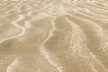Fototapeta na wymiar Sea salt lines on a sandy beach