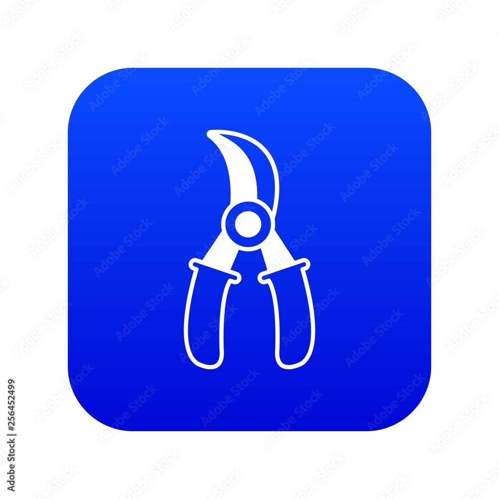 Poster grape scissors icon blue vector isolated on white background