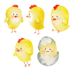 Watercolor Easter Chicken