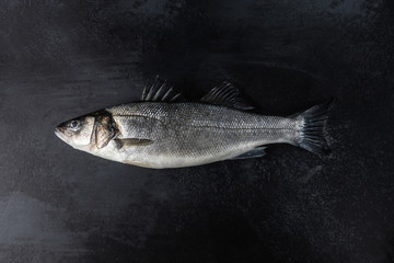 Sea bass with silver scales and raised fins on the dark grey background