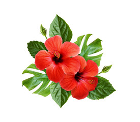 Hibiscus flowers and monstera leaves in a tropical arrangement - obrazy, fototapety, plakaty
