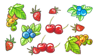 Set of watercolor berries.