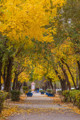 autumn in the park