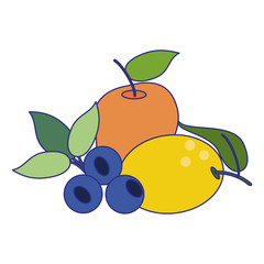 fruits healthy and fresh food blue lines