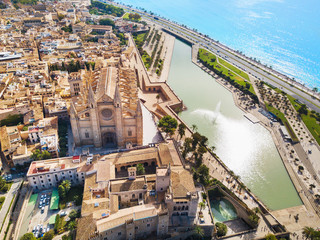 palma de mallorca
