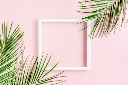 White frame and tropical palm leaves Phoenix on pink background. Flat lay, top view