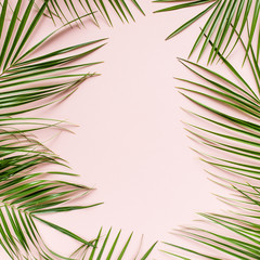 Frame from tropical green leaves on pink background. Flat lay, top view