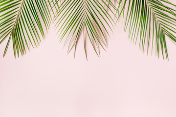 Tropical palm leaves on pink background. Flat lay, top view minimal concept.