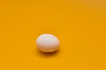 egg on yellow background